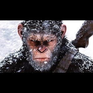 Meet your Posher, Jose